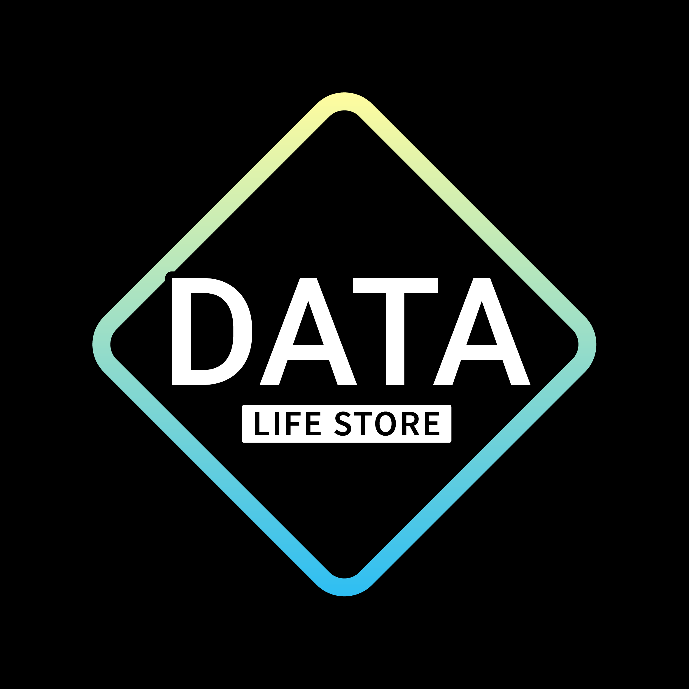 Data Life Store logo
